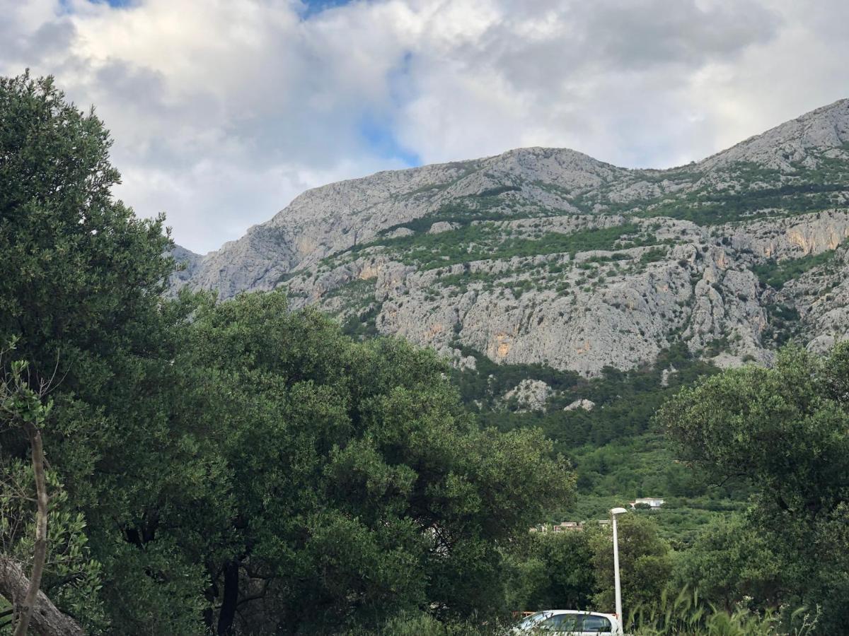 Apartment Flora Makarska Dış mekan fotoğraf